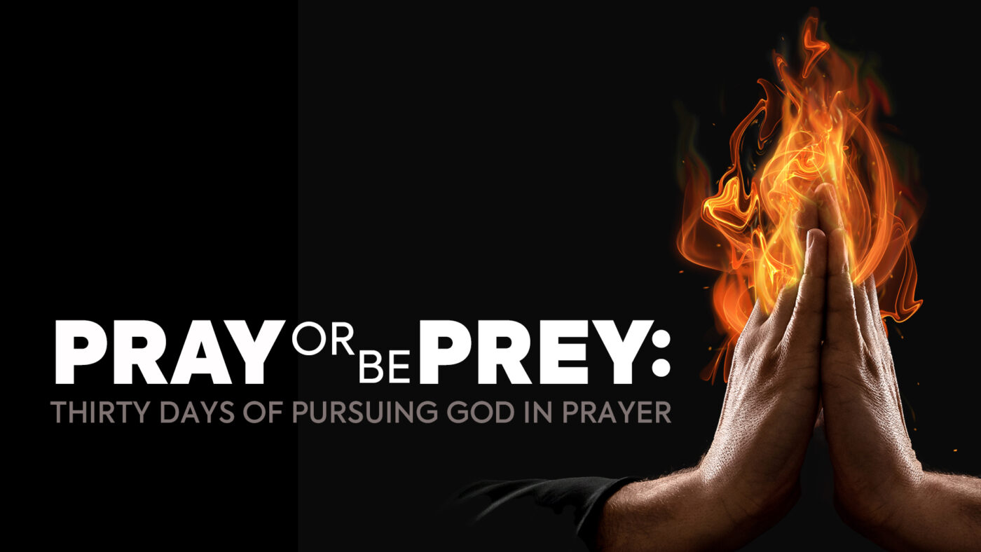 Pray or Be Prey: Thirty days of pursuing God in prayer